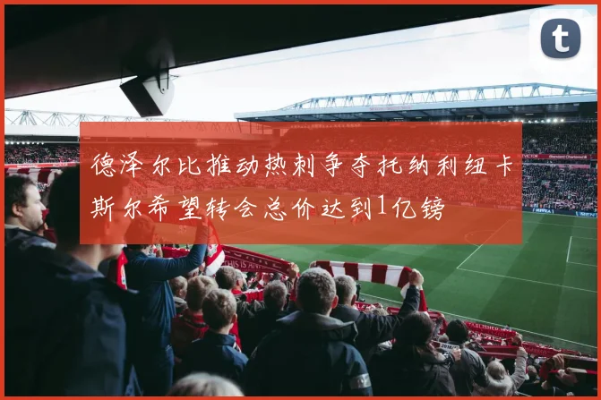 德泽尔比推动热刺争夺托纳利纽卡斯尔希望转会总价达到1亿镑